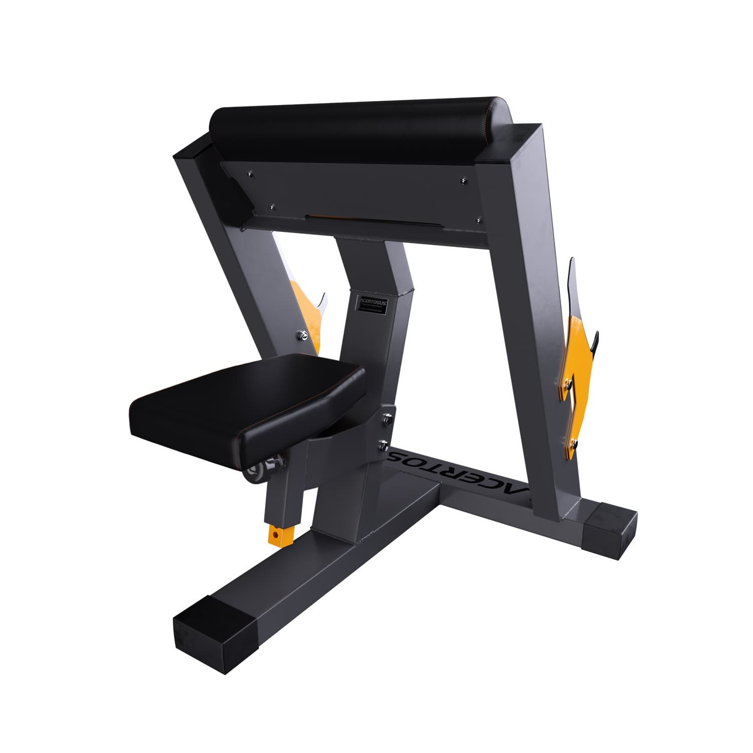 Scott Arm Curl Bench Club Line Lacertosus — vista 3
