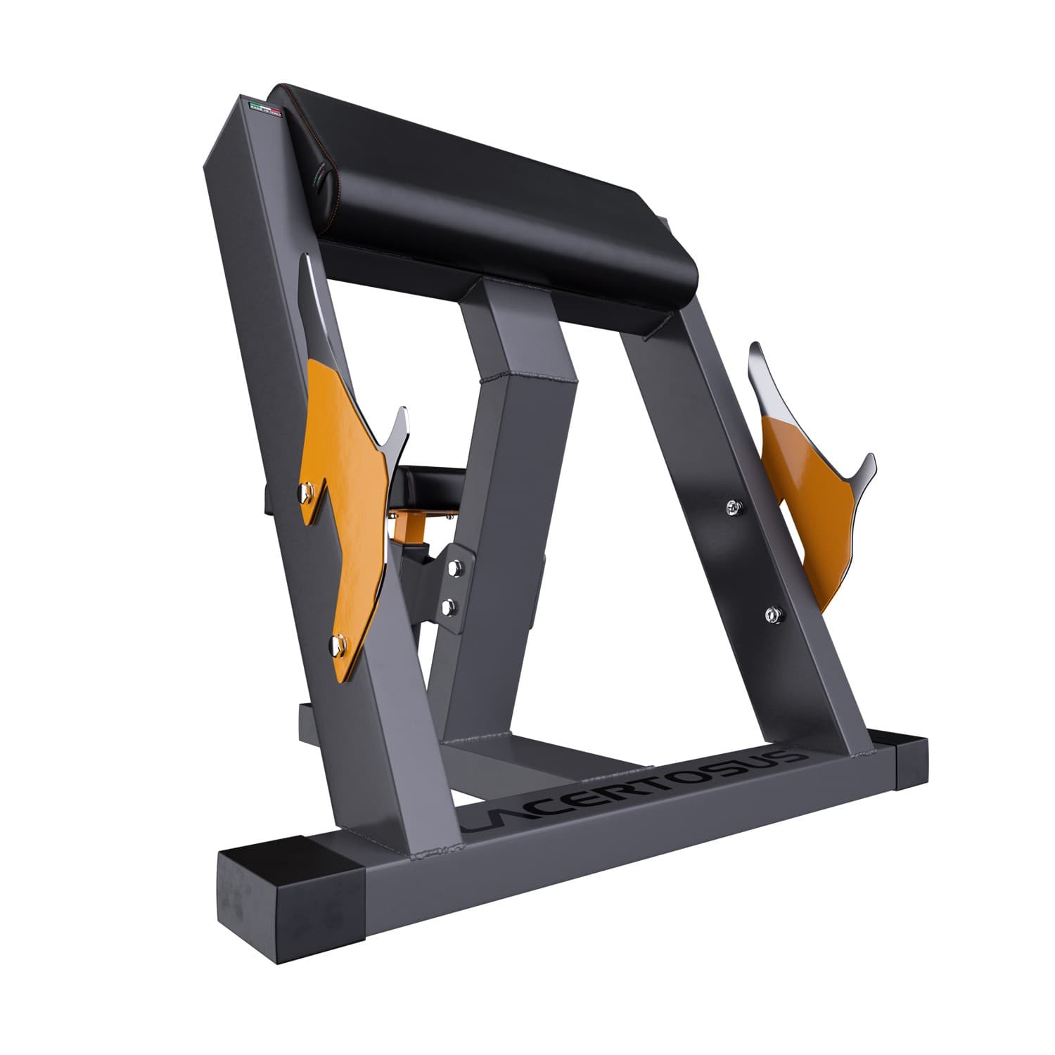 Scott Arm Curl Bench Club Line Lacertosus — vista 4