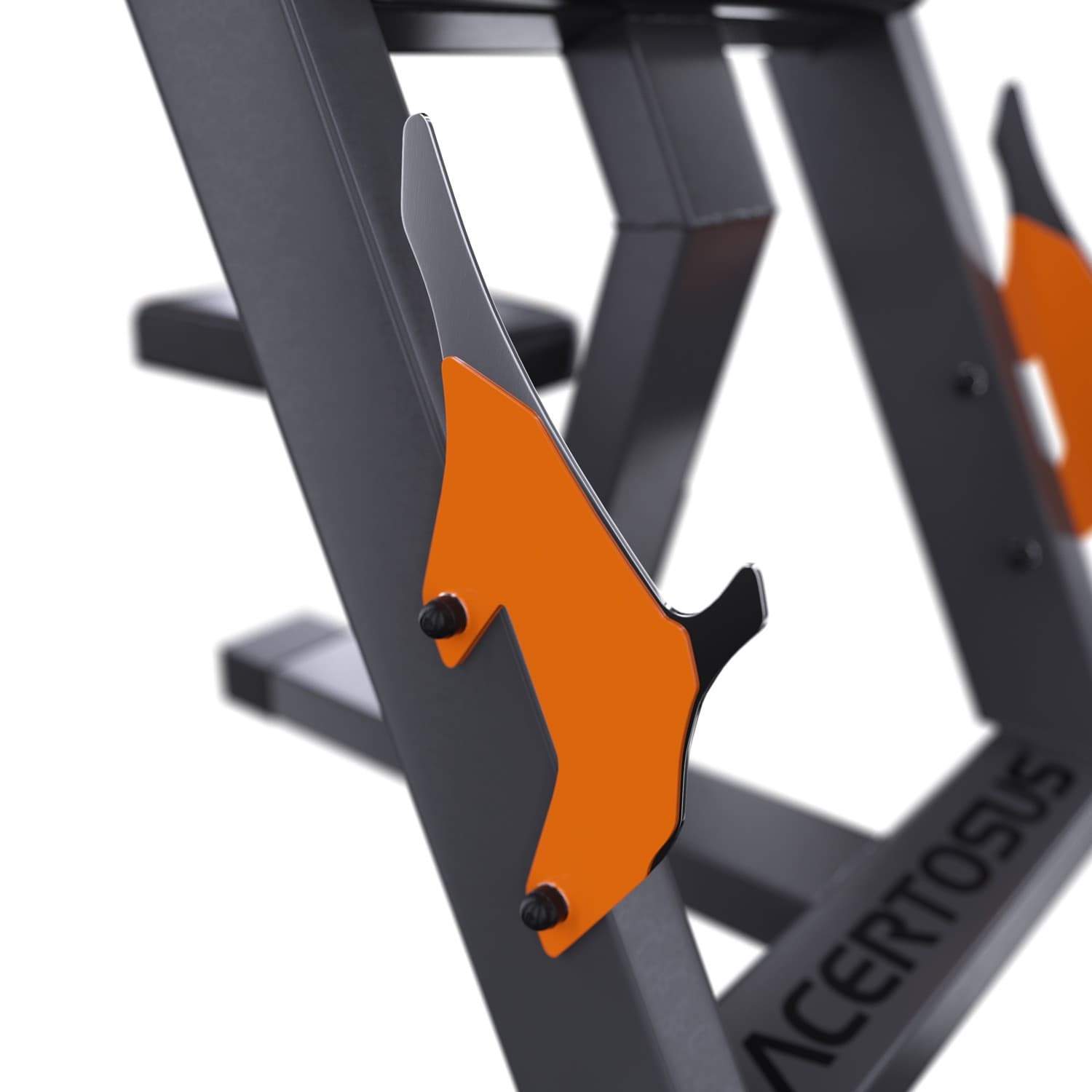 Scott Arm Curl Bench Club Line Lacertosus — vista 5
