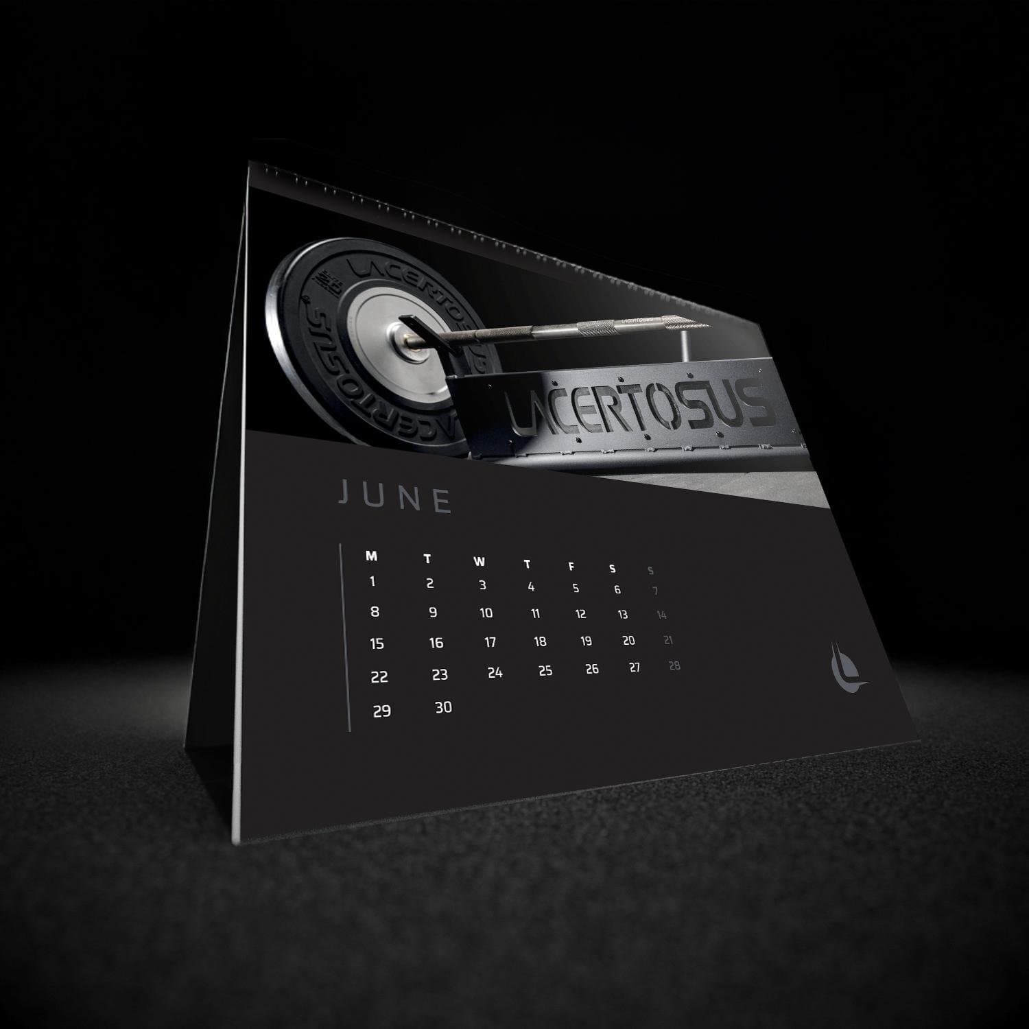 Calendario Lacertosus — vista 3