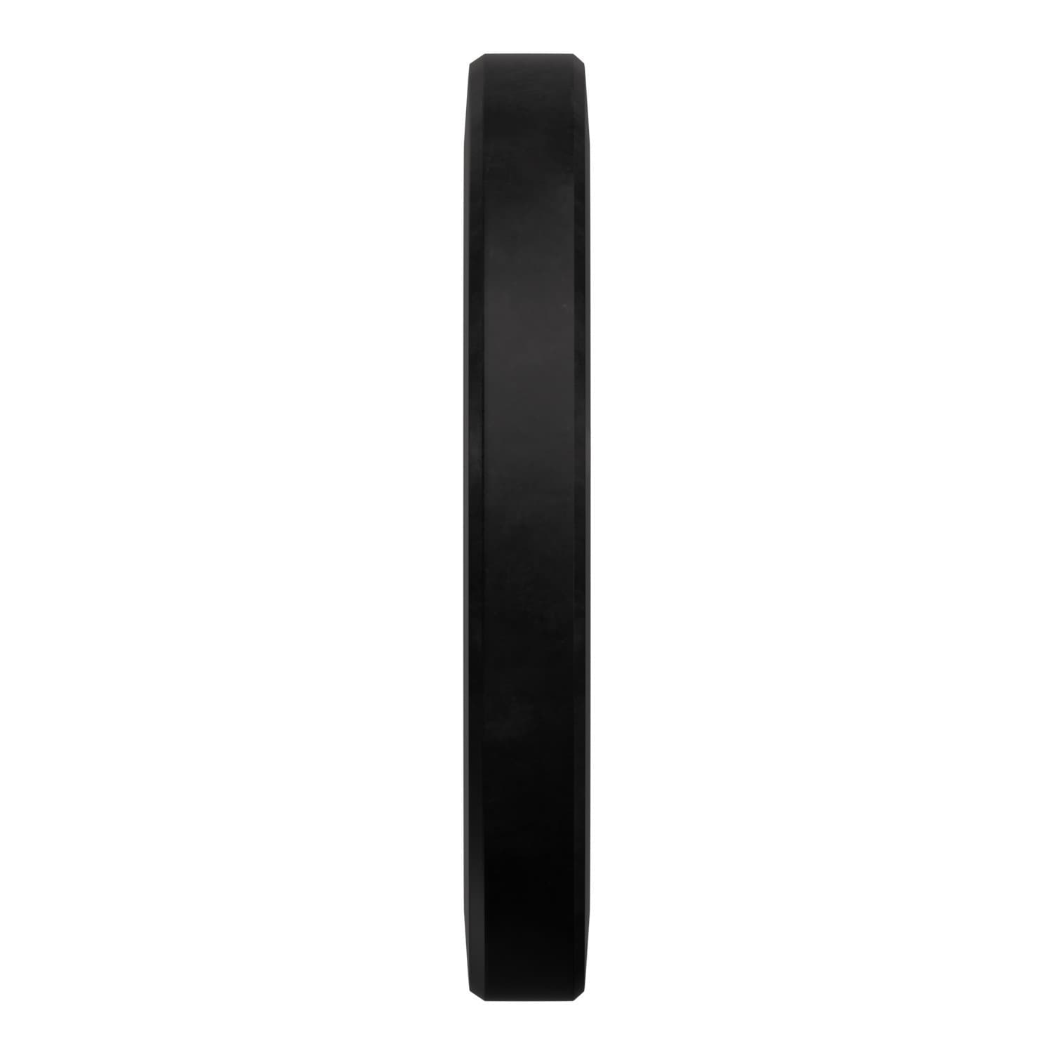 Disco Bumper RAW - 15 Kg — vista 3