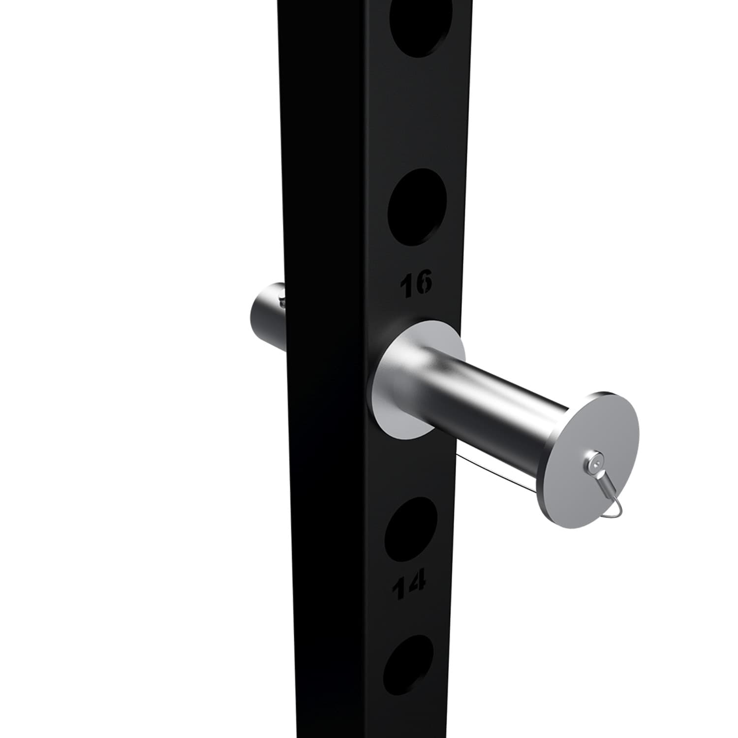 Half Rack Training — vista 7
