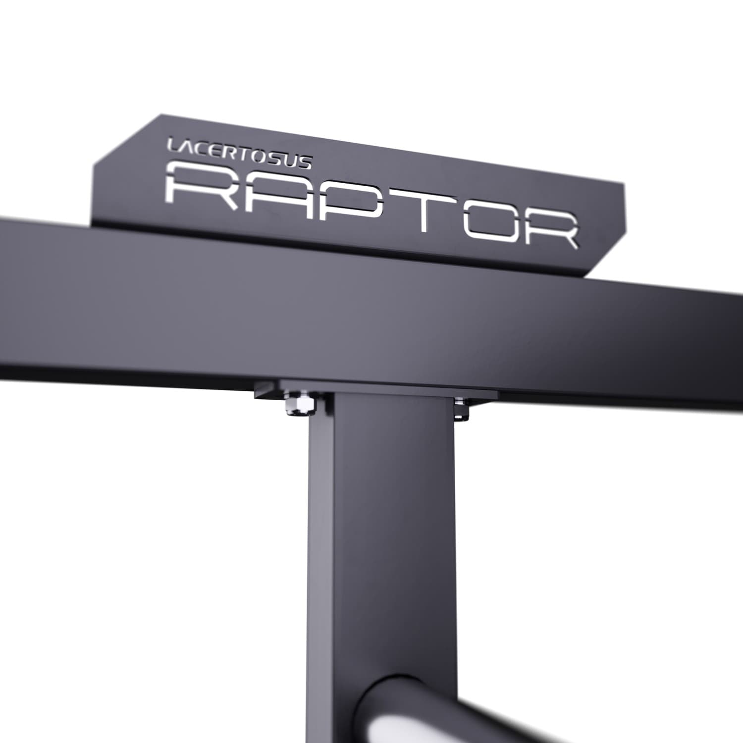 Lacertosus Pro Power Rack RAPTOR — vista 6