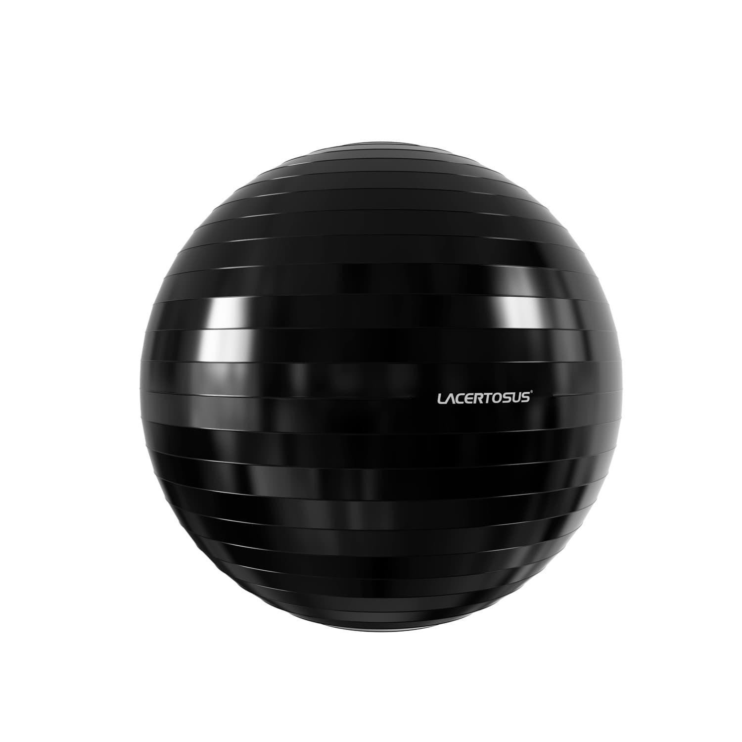 Swiss Ball ELITE 65 cm — vista 1