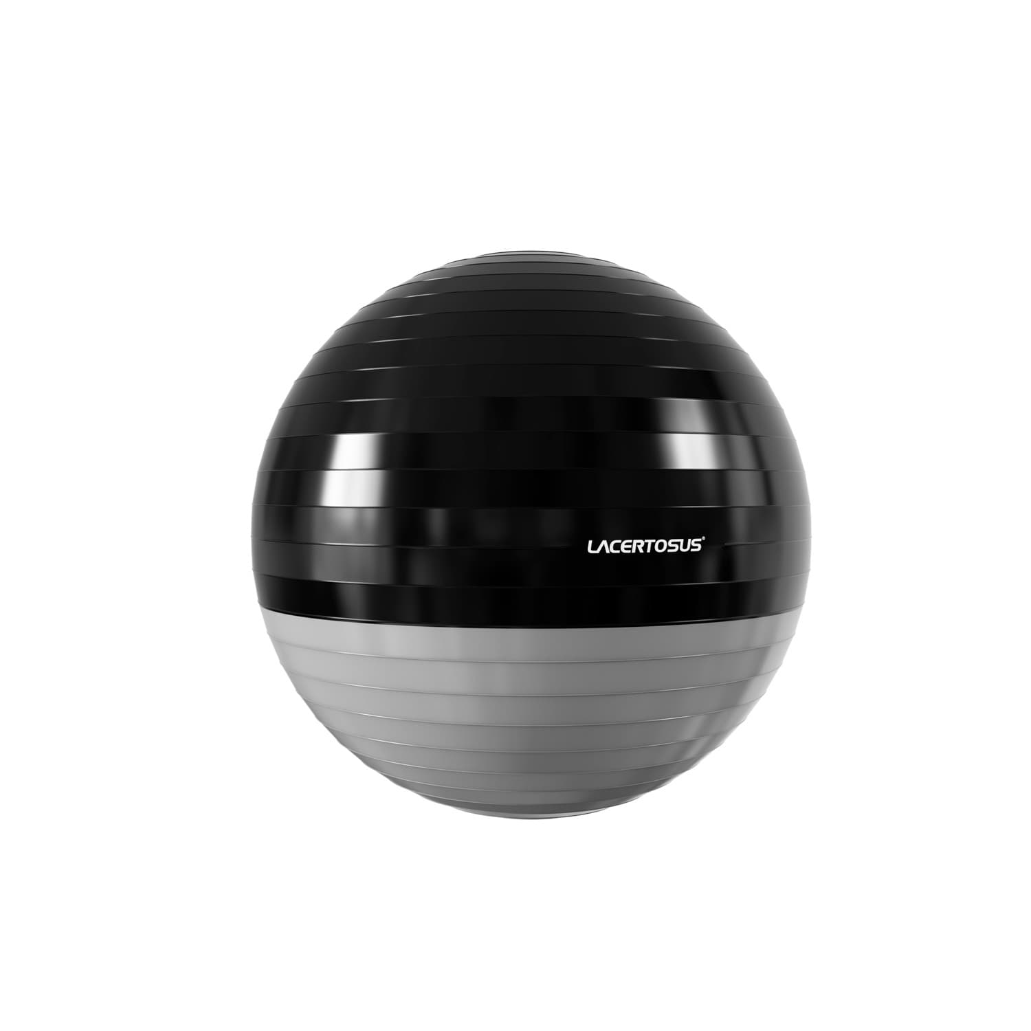 Swiss Ball ELITE 55 cm — vista 1