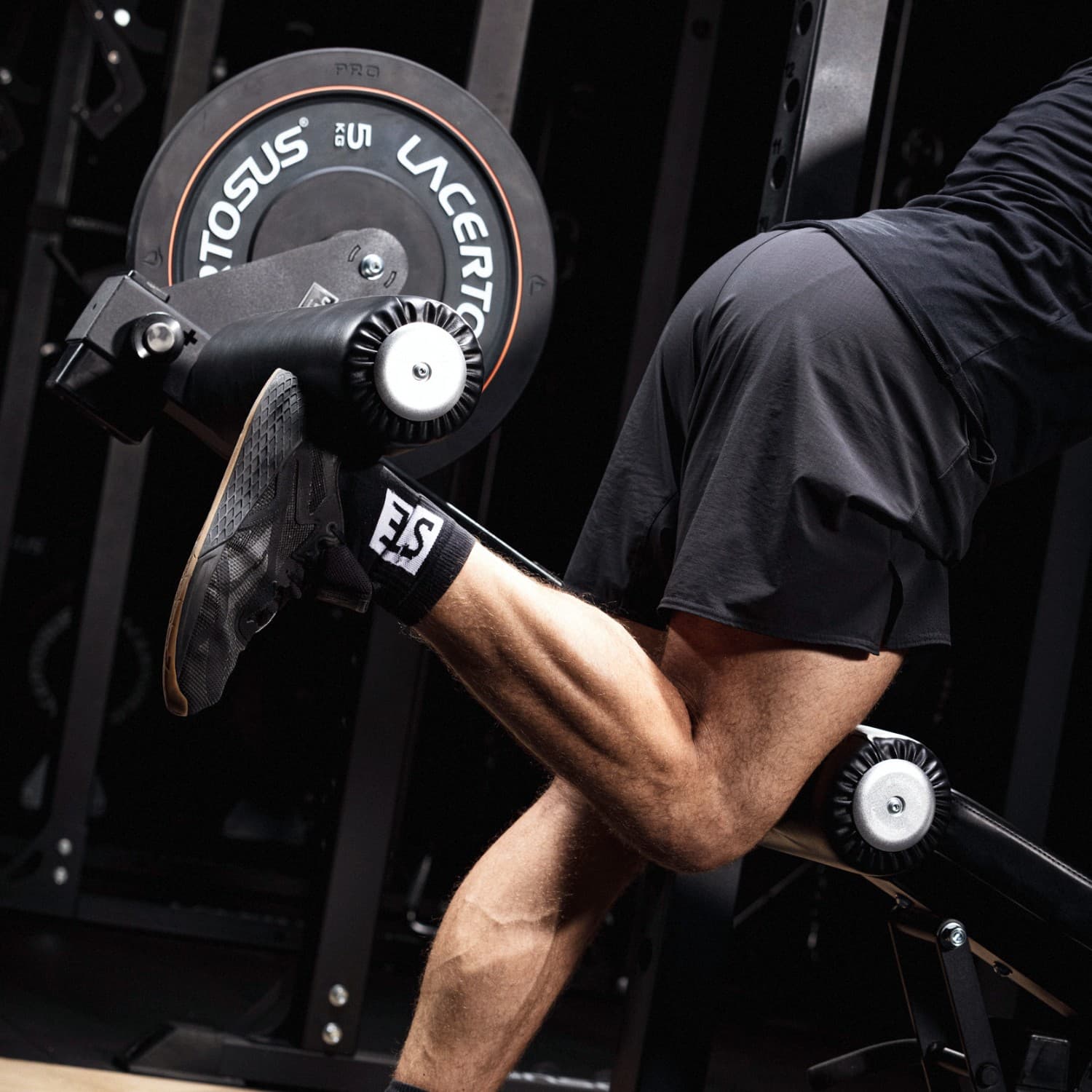 Pro Leg Extension / Curl — vista 10