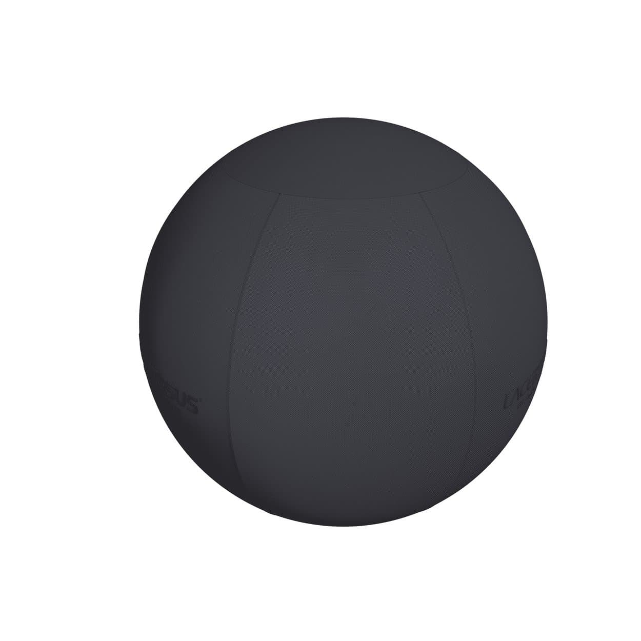 SWISS BALL - BLACK SERIES — vista 2