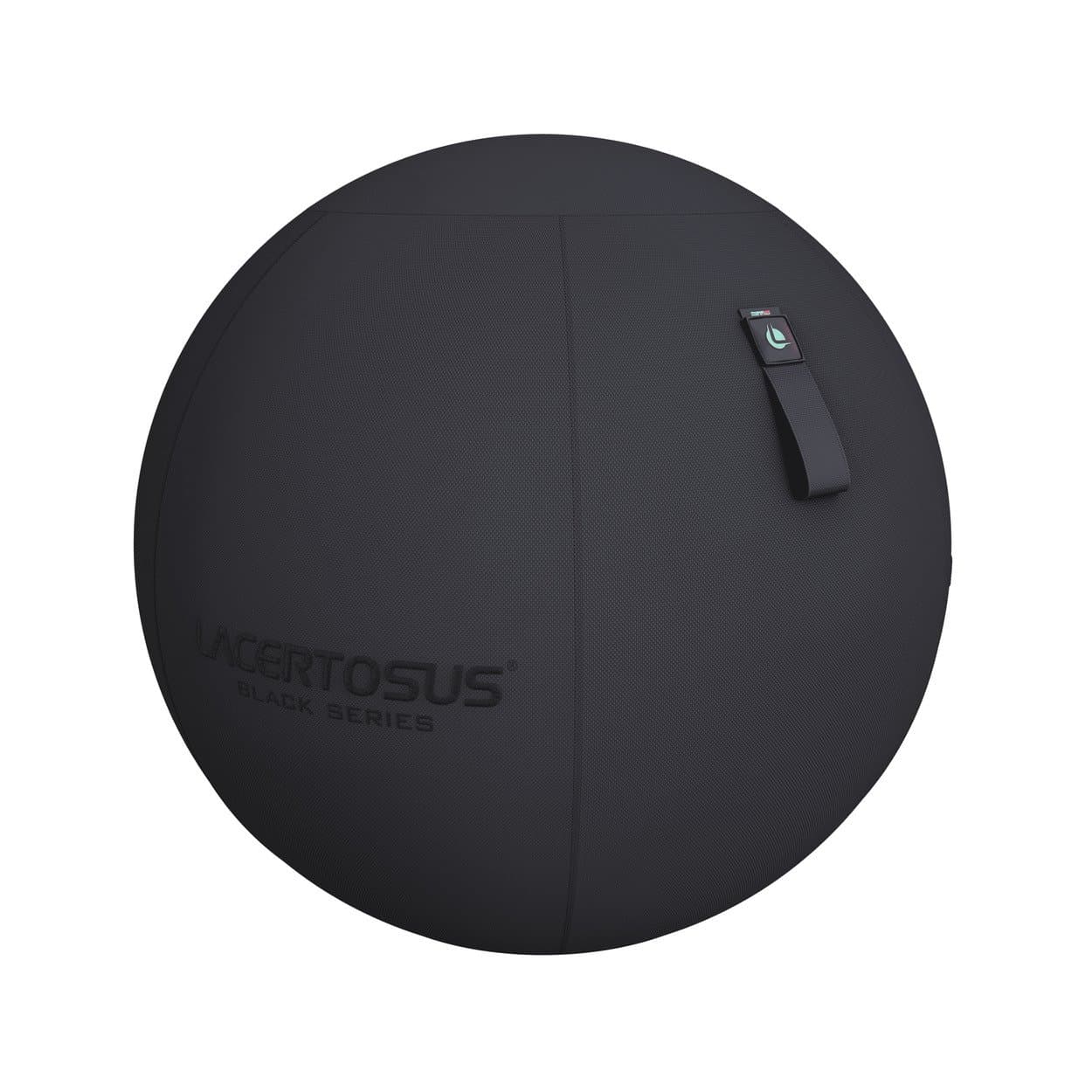 SWISS BALL - BLACK SERIES — vista 1
