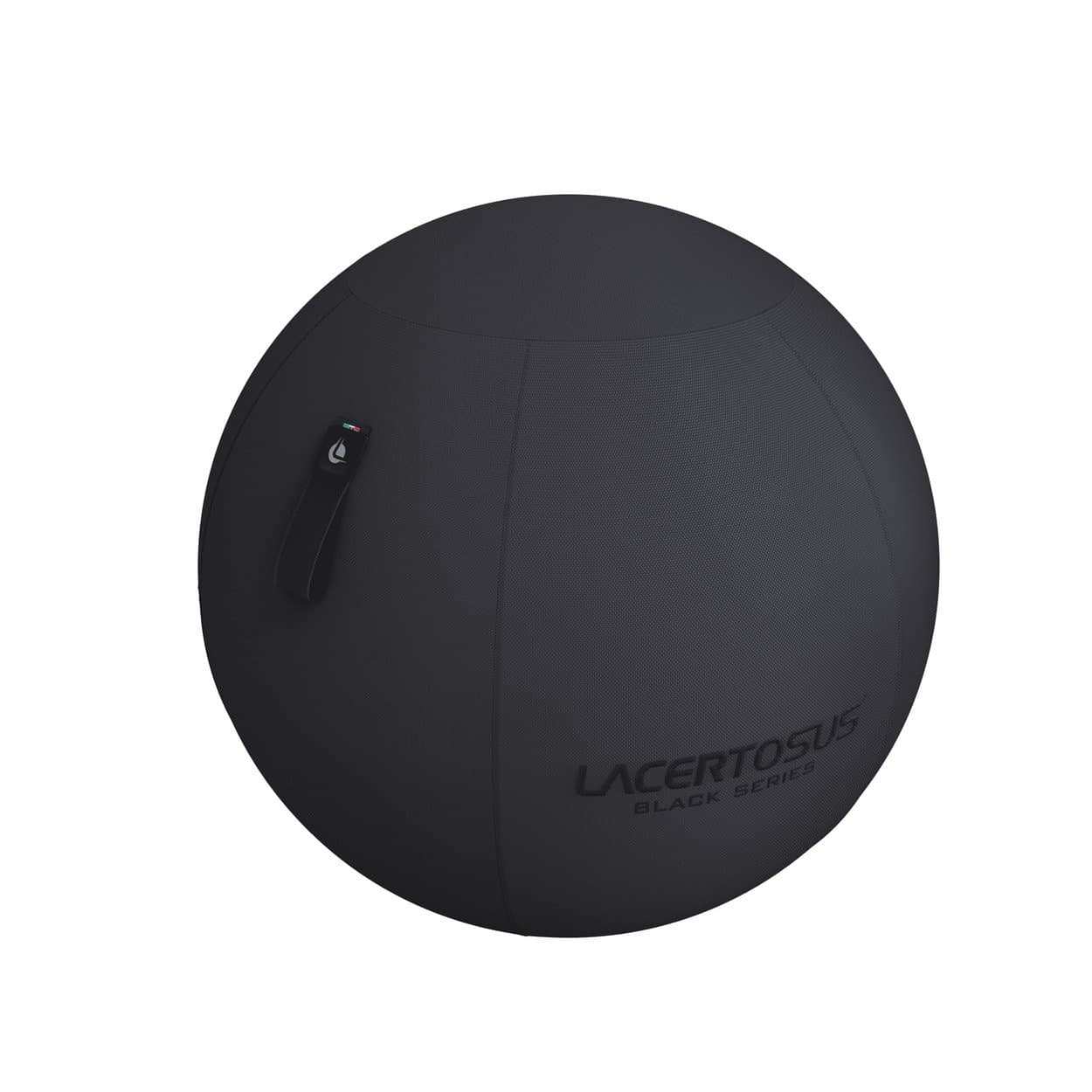 SWISS BALL - BLACK SERIES — vista 3