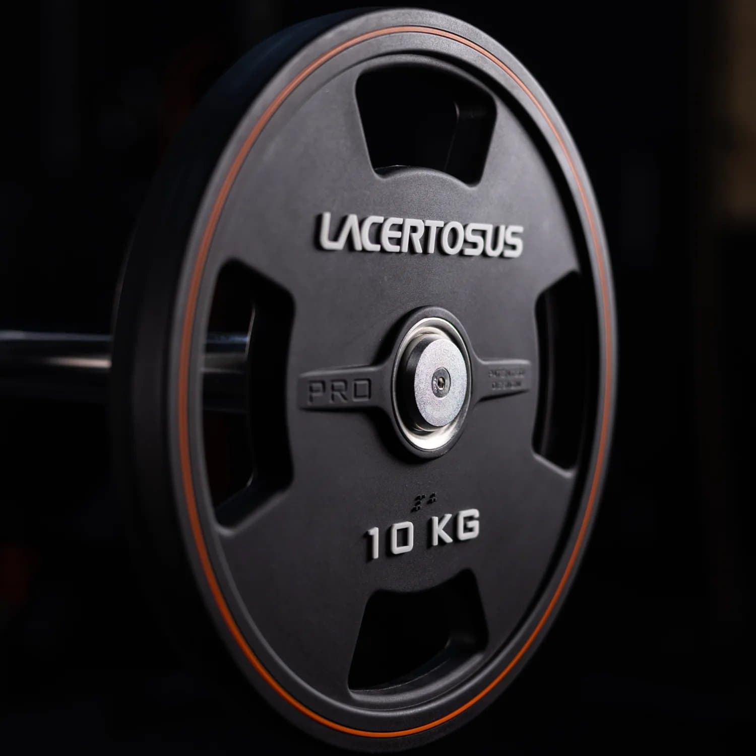 Disco PRO Grip in CPU - 10 Kg (50MM) — vista 4