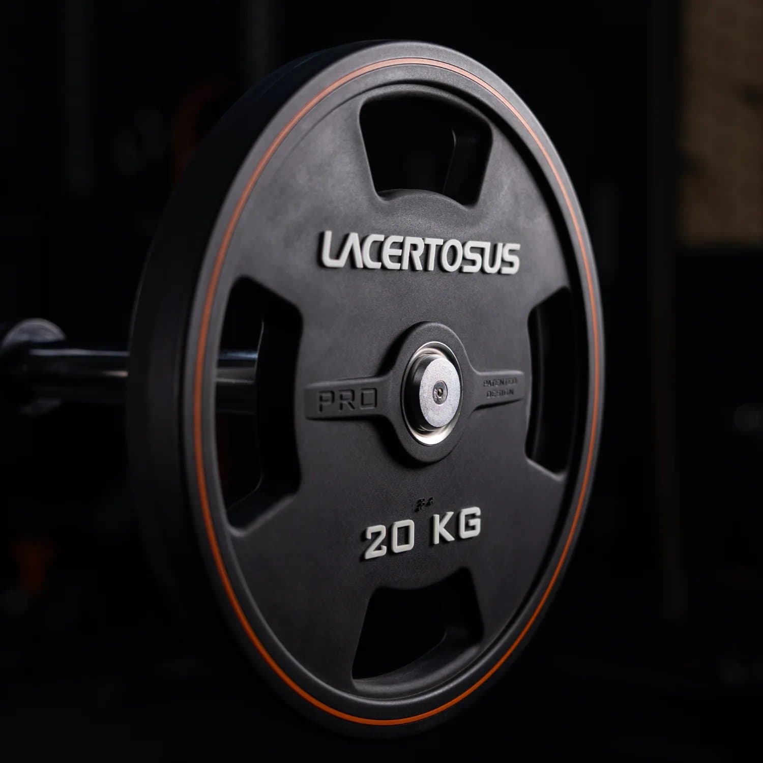 Disco PRO Grip in CPU - 20 Kg (50MM) — vista 4