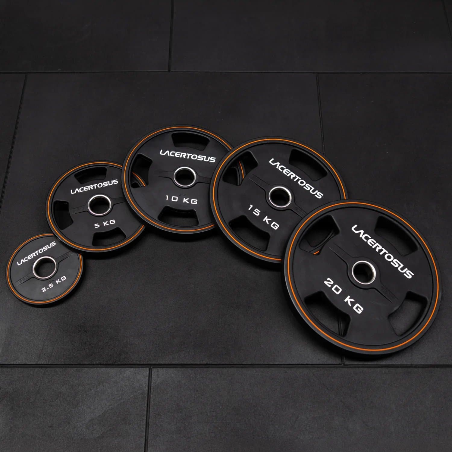 Disco PRO Grip in CPU - 5 Kg (50MM) — vista 5