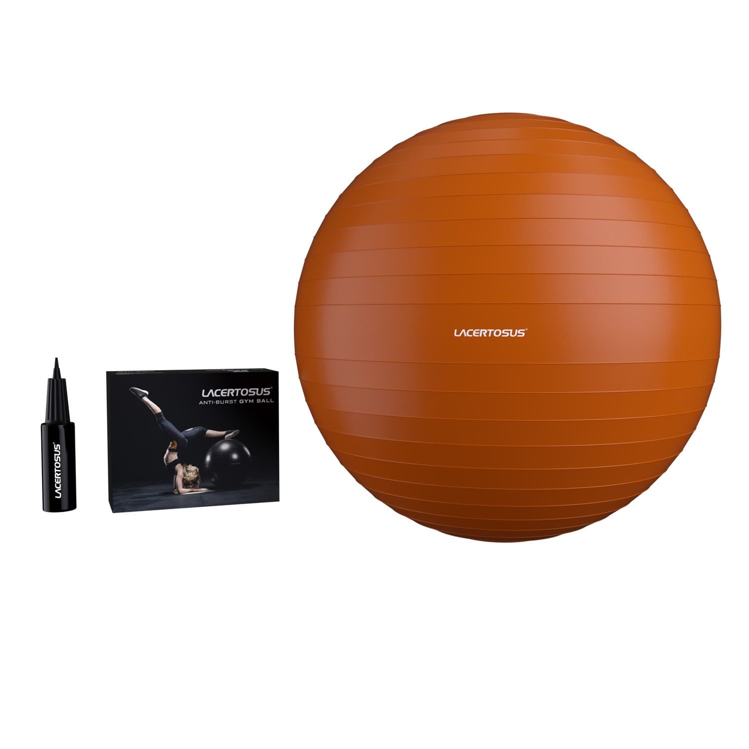 Swiss Ball/ Gym Ball 55 cm — vista 2