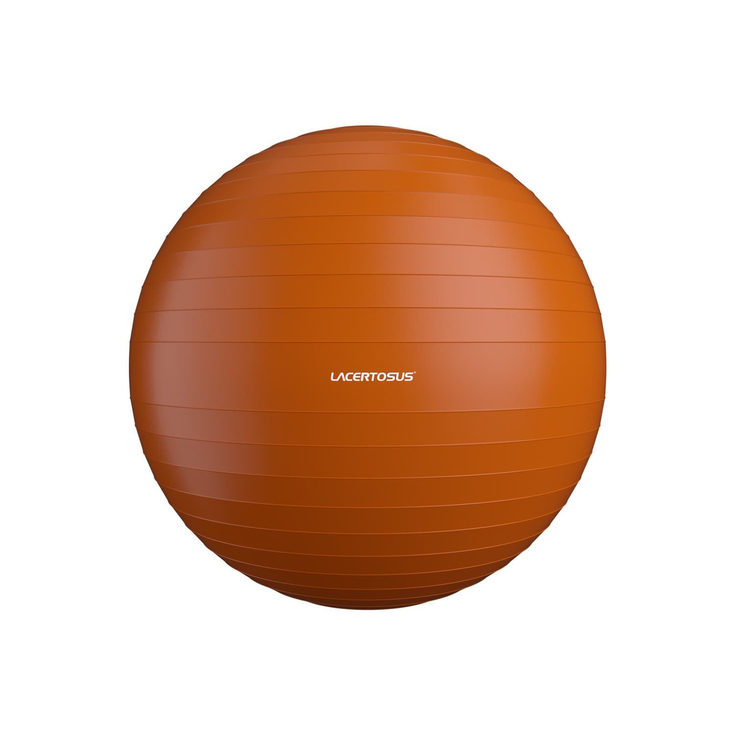 Swiss Ball/ Gym Ball 55 cm — vista 1