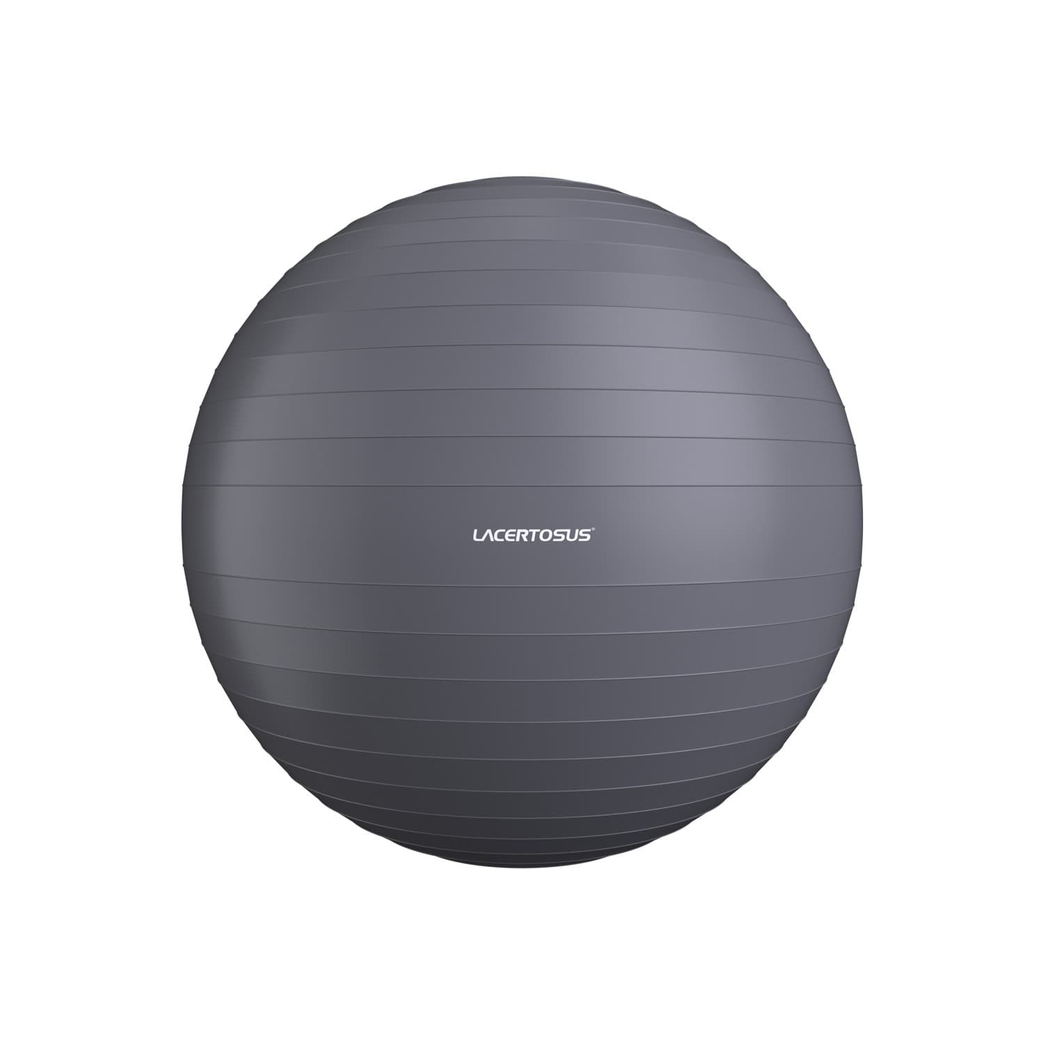 Swiss Ball/ Gym Ball 65 cm — vista 1
