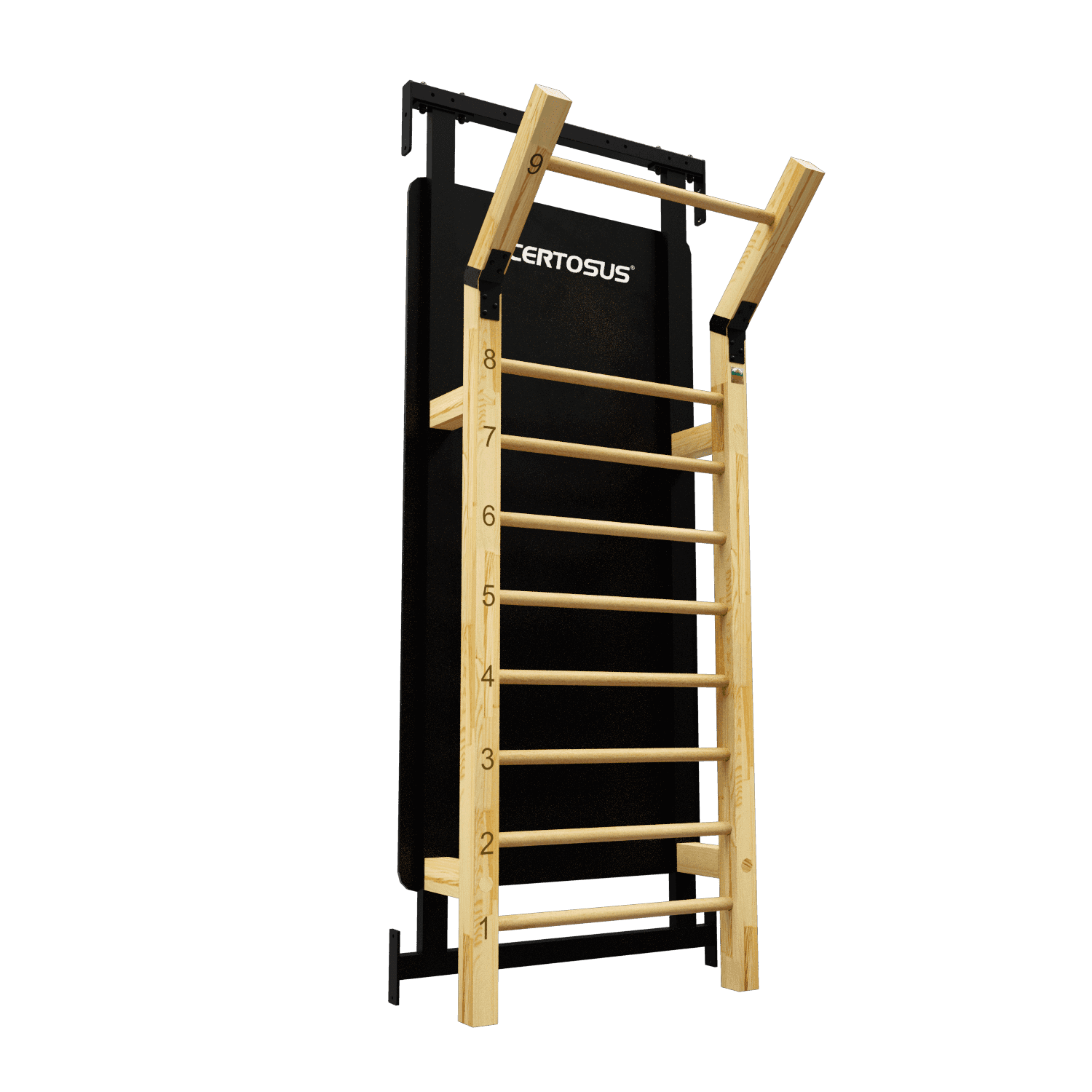 RIG (120)  HSPU + Gladiator Wall