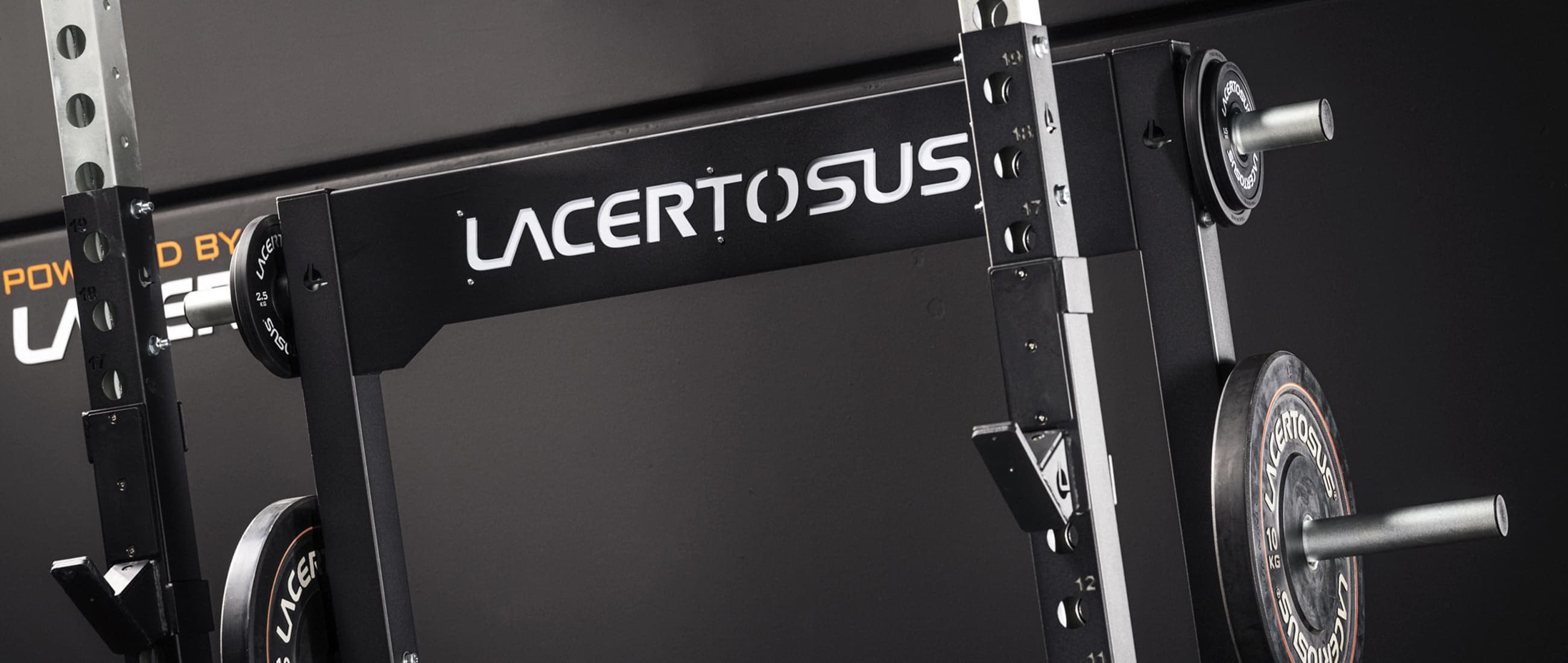 Rig in acciaio Lacertosus