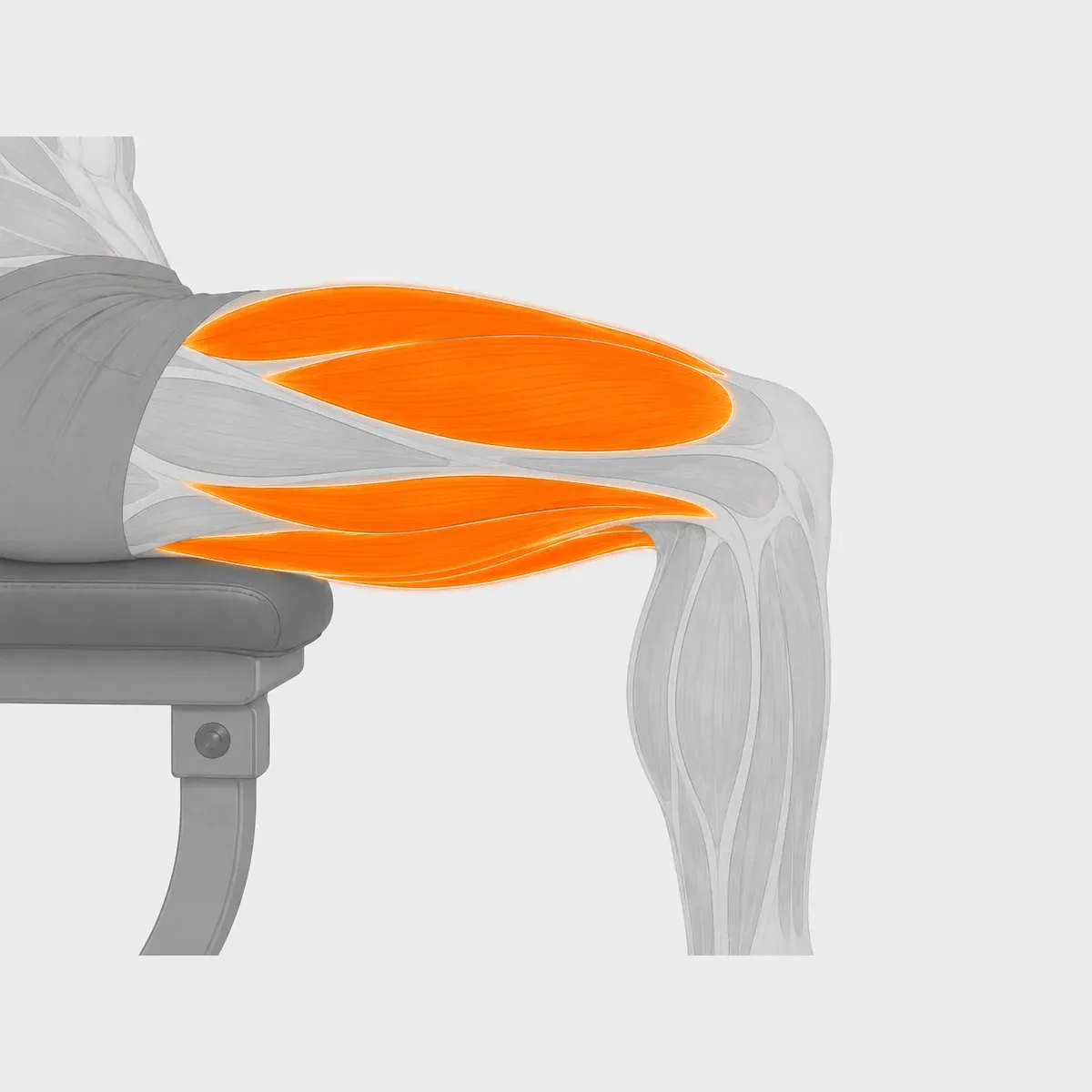 Leg Extension & Curl Selektorized — vista 2