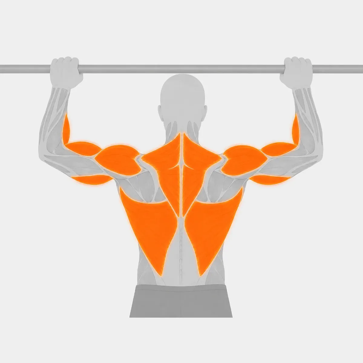 Lat Machine Selektorized — vista 2