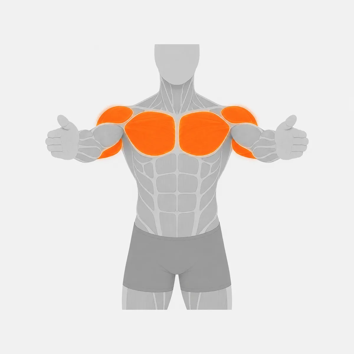 Chest Press Selektorized — vista 2