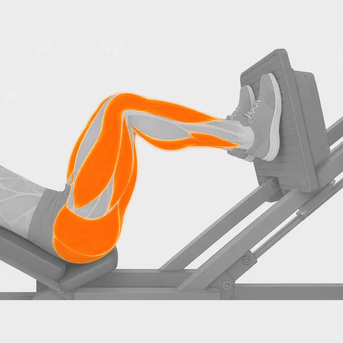 Horizontal Leg Press Selektorized — vista 2