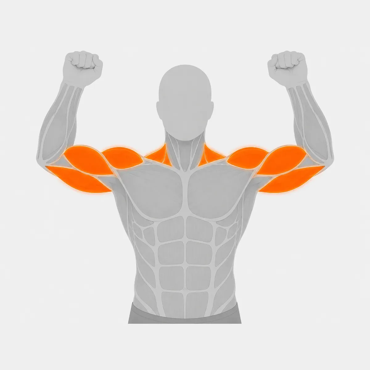 Shoulder Press Selektorized — vista 2