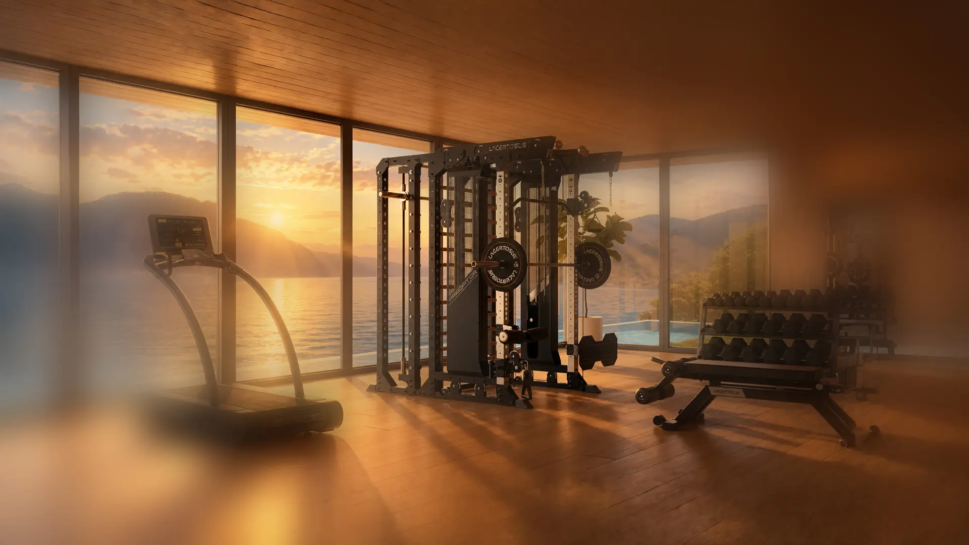 Allestimento di una palestra Lacertosus